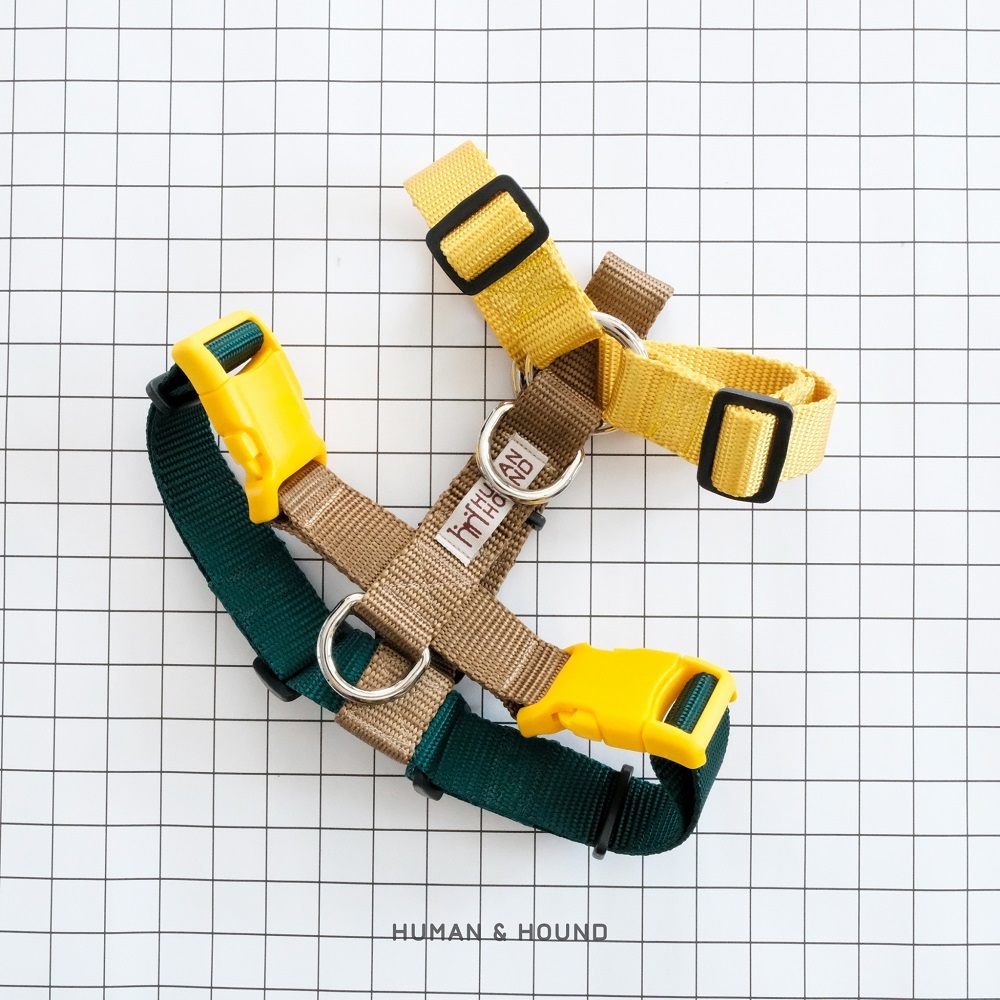 Spring Park H-harness สายรัดอกสุนัข Human and Hound รุ่น h-harness ไซส์ XS-L :  สายรัดอกสุนัข สีสปริ