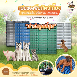 LALAMOVER แผ่นรองกรงสัตว์เลี้ยง รุ่นแข็งแรงพิเศษ 10 แผ่น ขนาด 30x100x3.4 ซม. | สแลทปูพื้นกรง แผ่นปูพื้นฟาร์ม แผ่นรองพื้น