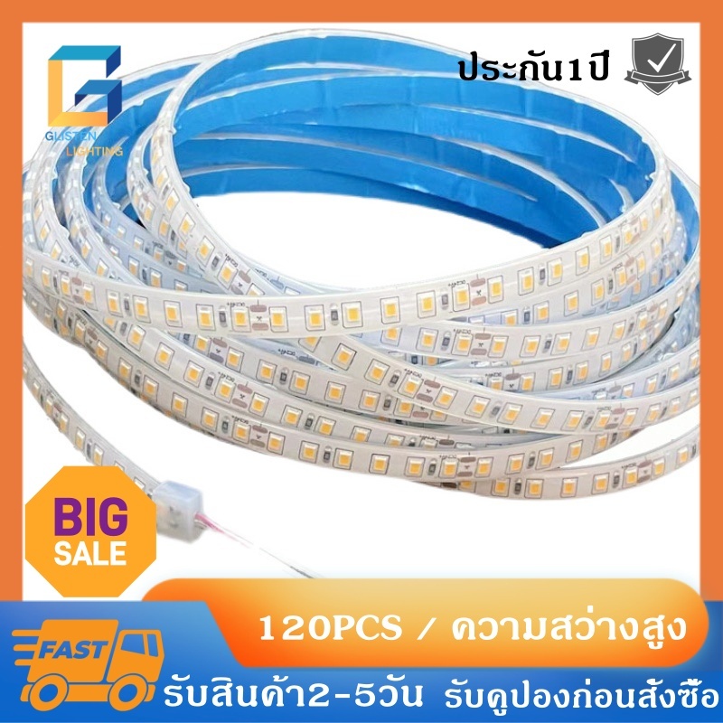 10M 2835 เทปไฟ LED ยืดหยุ่น 3 สี ปลอดภัยแรงดันต่ำ ตัดได้ มีกาวติดหลัง เทปไฟตกแต่ง LED สำหรับห้องครัว ห้องนอน ห้องต่างๆ