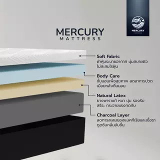 [รับประกัน 10 ปี] Mercury Mattress ที่นอนยางพาราแท้ 100% รุ่น Wales ความหนา 6 นิ้ว [อัดสุญญากาศ] หนานุ่ม นอนสบาย
