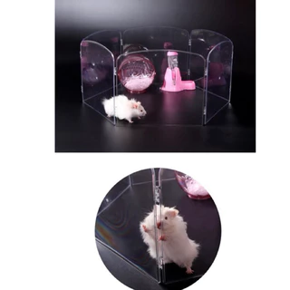 💖Hamsterthailand💖 คอกกั้นใส สำหรับสัตว์เลี้ยง แฮมสเตอร์ เม่นแคระ ดอเมาท์