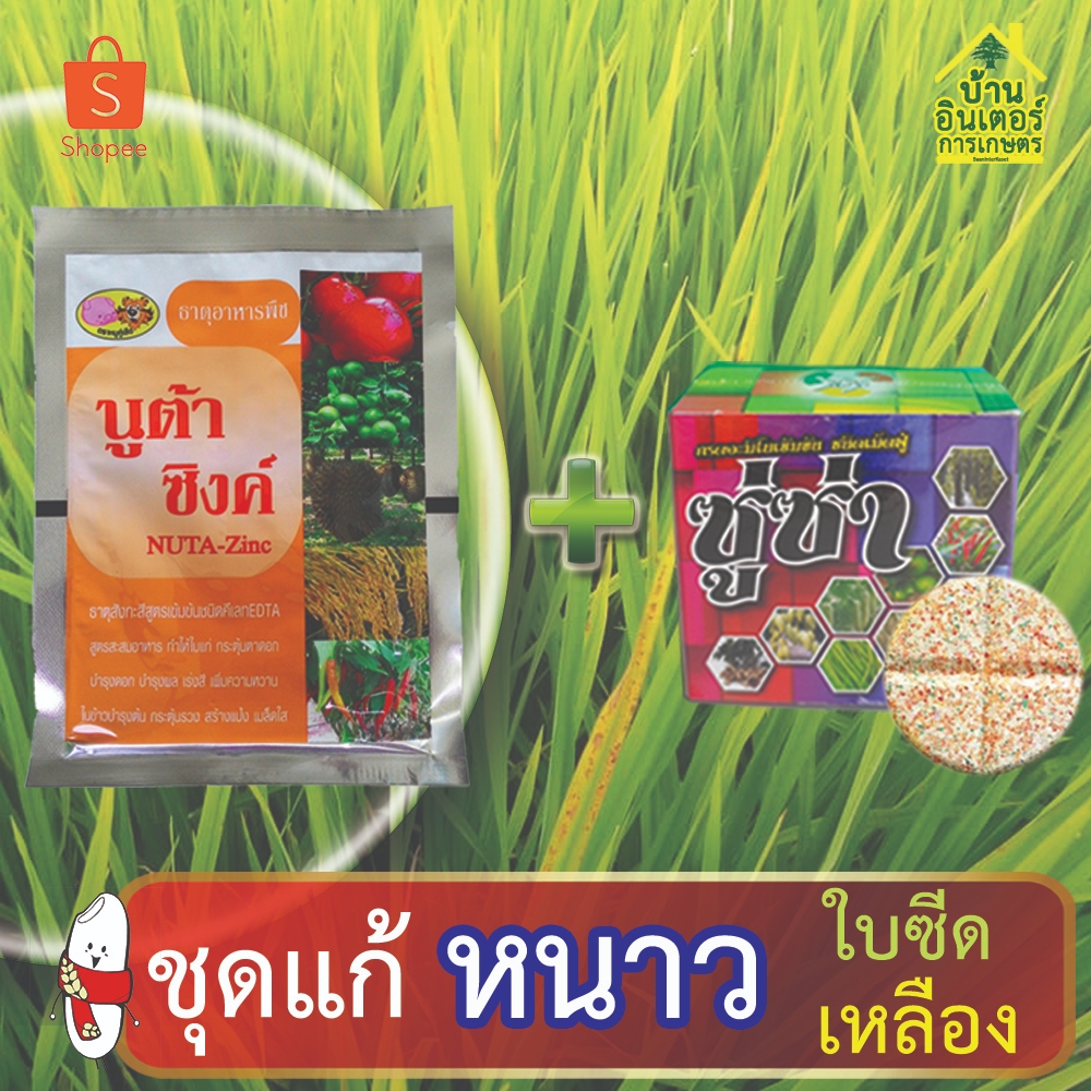 ชุดแก้หนาว แก้ใบเหลือง ไม่กินปุ๋ย รากดำ จากอากาศหนาวหรือร้อนจัด ใช้ได้ทั้งนาข้าว พืชสวน พิชไร่ ไม้ผล