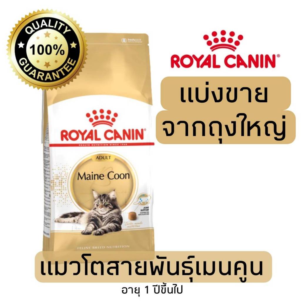 [แบ่งขาย] อาหารแมว Royal canin Maincoon แมวโตพันธุ์เมนคูน 500g 800g 1kg อาหารแมวรอยัลคานินแบบแบ่งขาย