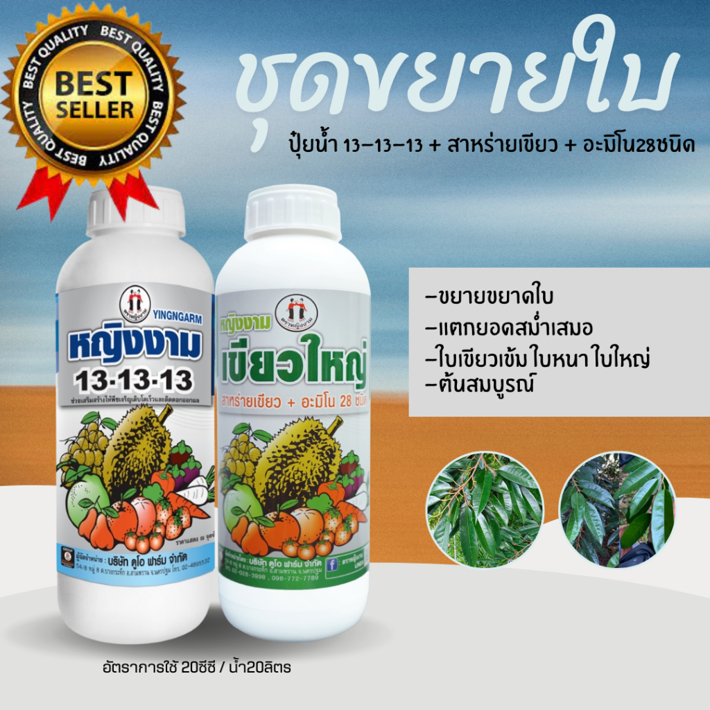 ชุดขยายใบ ตราหญิงงาม ช่วยให้ใบใหญ่ ใบเขียวเข้ม