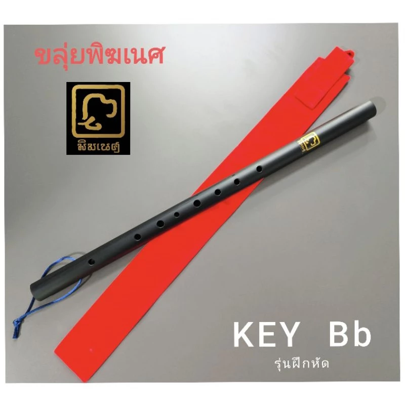 ขลุ่ย​ ขลุ่ยคีย์​Bb สำหรับฝึกเป่า​ คุณ​ภาพ​สูง​ เสียง​ดี​ คีย์​มาตรฐาน​ *ทุกเลาสวยเนี้ยบไร้ริ้วรอย