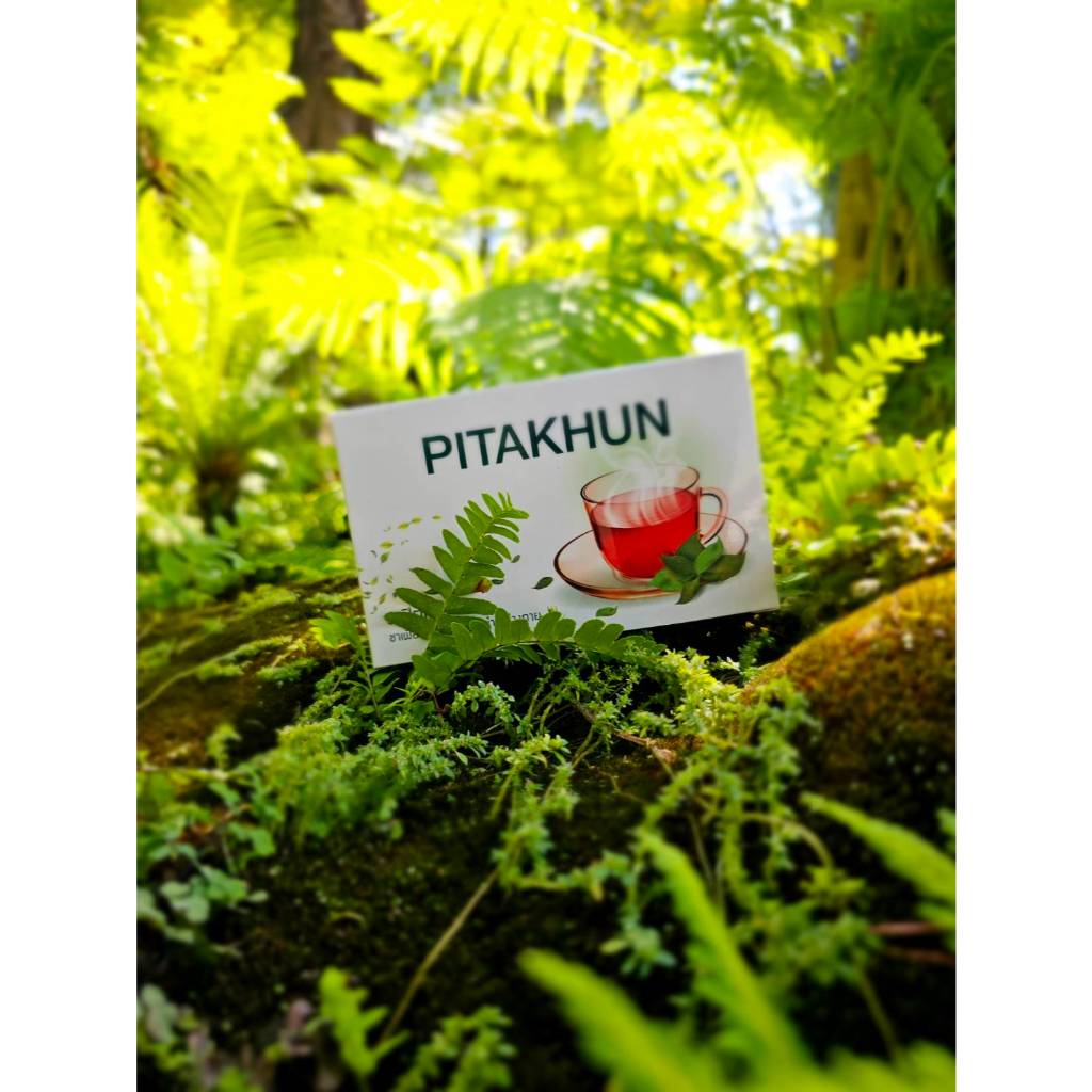 ชาปิตคุณบำรุงร่างกายและระบบไต