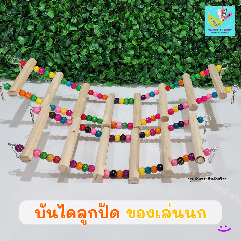 บันไดนกแก้ว บันไดแขวน ปีนเล่น ไม้ธรรมชาติ ของเล่น สำหรับนก พร้อมส่ง