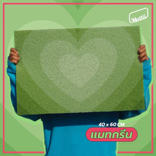 [ Mattii Power Mat ] พรมเช็ดเท้า พรมดักฝุ่น ปูพื้น คอลเลคชั่น เอาใจสายหวาน