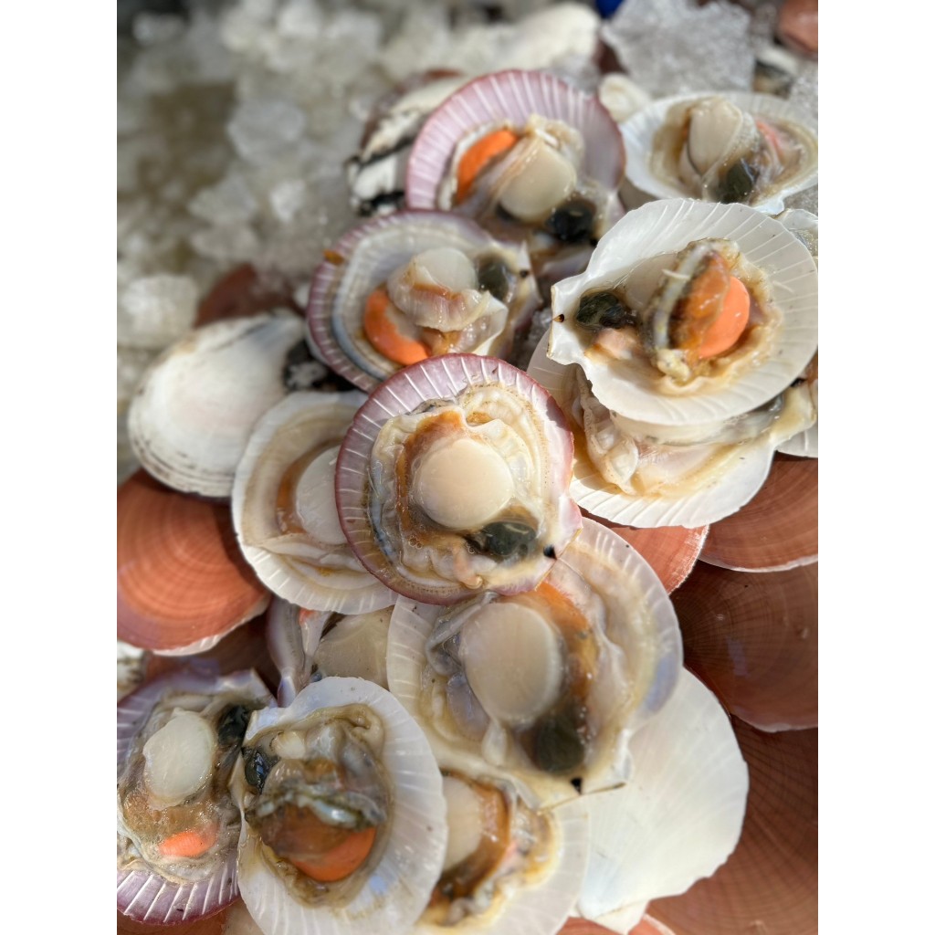 หอยเชลล์ แกะสด 199บาท 300 กรัม จากเรือประมง ปลอดสารทุกชนิด ขาวธรรมชาติ - รูปที่ 5