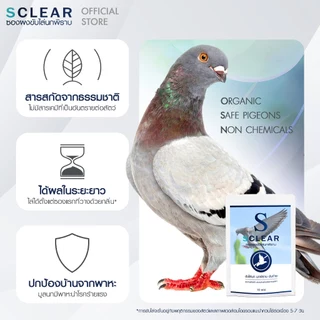 ไล่นก SClear ที่วางไล่นกพิราบ 2in1 ฟรี กาวติดให้ซองอยู่กับที่ ไล่นก ไล่อีกา ไล่นกพิราบ ส่งทุกวัน