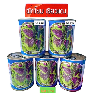แพคใหญ่ ผักโขม ผักโขมเขียว ผักโขมแดง ผักโขมแก้ว ผักโขมเขียวแดง ผักโขมแดงชมพู น้ำหนัก 50 กรัม