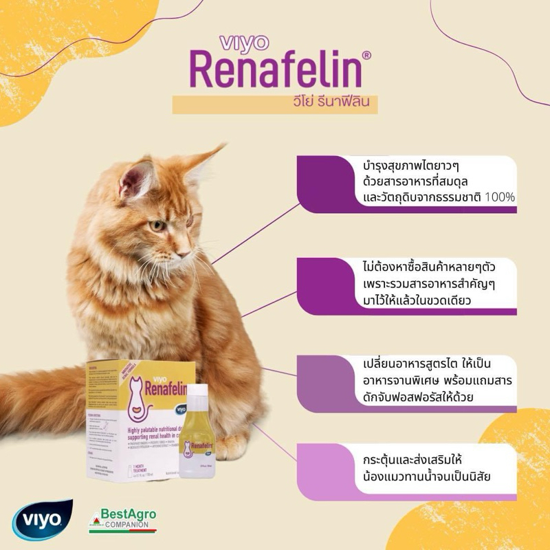 Viyo Renafelin วีโย่ รีนาฟีลิน *1 ขวด*ผลิตภัณฑ์บำรุงไตแมวแบบ น้ำ Exp.09/2027 (( ขวดสีเหลือง ))