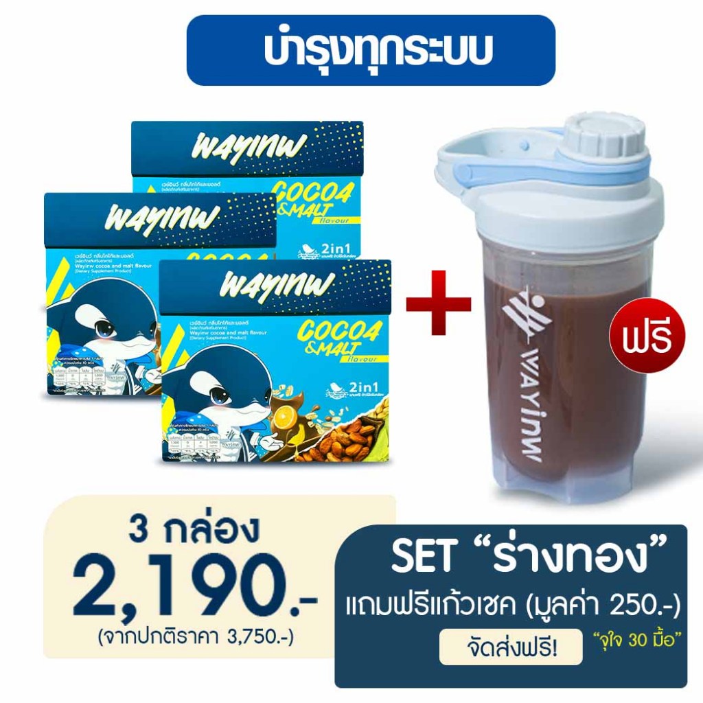 Wayinw Plantbase Protein With Oats - เวย์อินว์ “เวย์เทพ” เซท 3 กล่อง แถมฟรีแก้วเชคWayinw แก้วคละสี