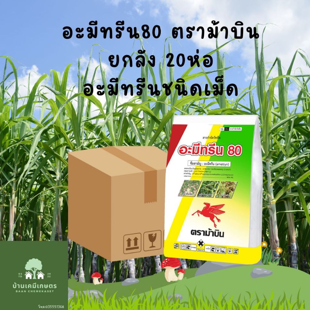 อะมีทรีน 80 ยกลังตราม้าบิน 20ห่อ*1 กก
