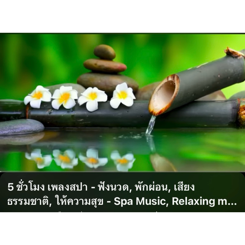 usb mp3 เพลงสปา ผ่อนคลาย บำบัดจิตใจคลายเครียด