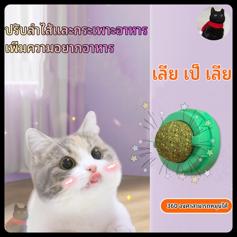 ซื้อ แคทนิปบอล บอลแมวเลีย catnip ball แคทนิปแมวเลีย กัญชาแมว แคทนิป ขนมแมวเลีย ของเล่นแมวเลีย ติดกำแพง สมุนไพรแมวเลียหมุ่นได้