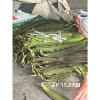 พิเศษ!!ฝักเพกา ฝักลิ้นฟ้า ฝักอีกา 1 kg. มีของพร้อมส่ง🔥สดๆจากสวนปลอดสาร 📌ราคาพิเศษ📌 รับประกันคุณภาพ✔️