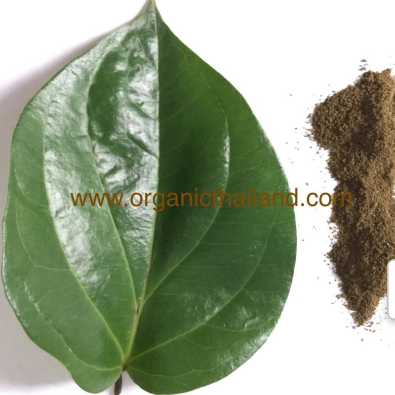 ใบพลูผง 1 กิโลกรัม betel piper leaf powder 1kg