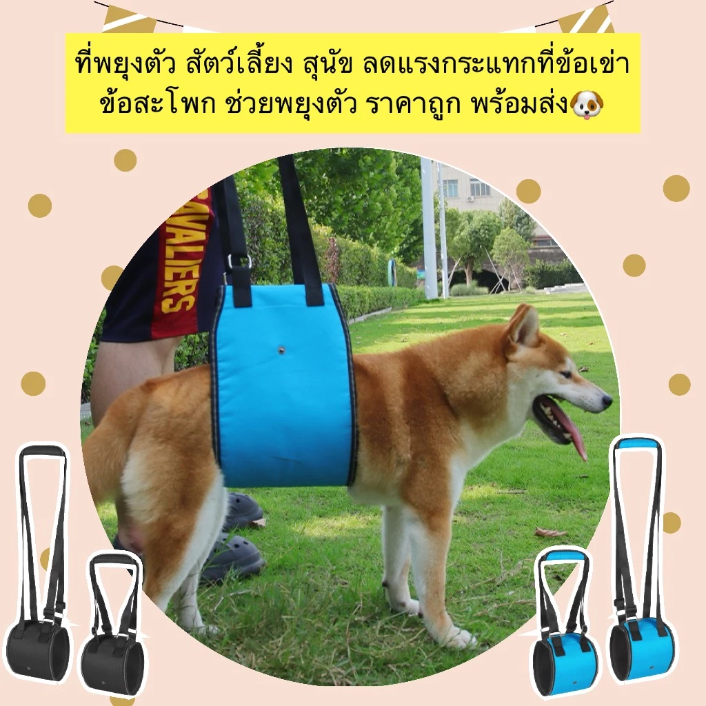 AL-1164 ที่พยุงตัว สัตว์เลี้ยง สุนัข ลดแรงกระแทกที่ข้อเข่า ข้อสะโพก ช่วยพยุงตัว ราคาถูก พร้อมส่ง🐶