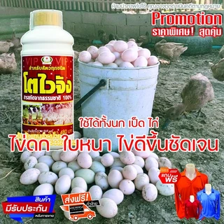 โตไวจัง บำรุงสัตว์ (ร้านใหม่)🔥โปร 4 ขวด 🔥 ส่งฟรี