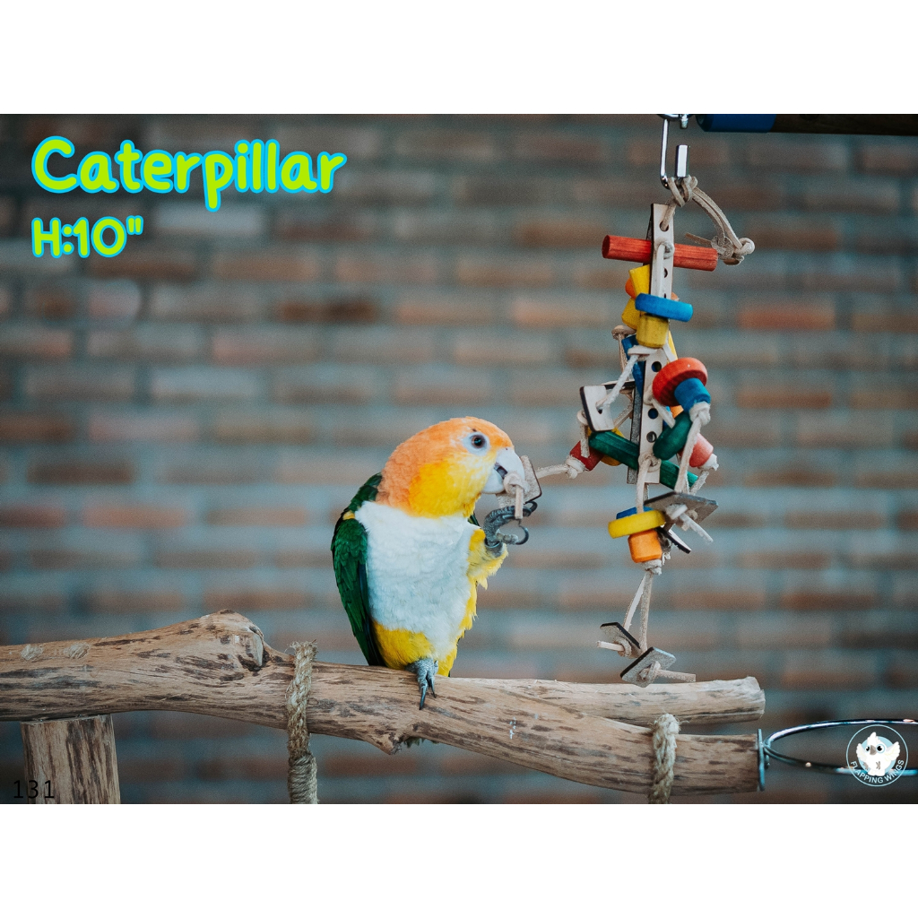 Flapping Wings "Caterpillar" ของเล่นนกแก้ว ผลิตและนำเข้าจากแคนาดา