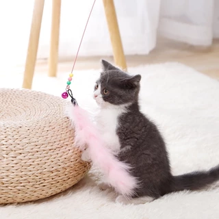 ของเล่นแมว ไม้ตกแมว หลายสี ไม้ตกแมวแบบสปริง ไม้ล่อแมว แบบลวดสลิง