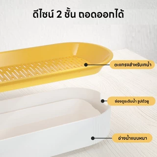 yoyopet : ชุดปลูกหญ้าแมว หญ้าแมว เมล็ดข้าวสาลี ถาดเพาะต้นอ่อน ชุดปลูกต้นสาลี ข้าวบาร์เล่ย์