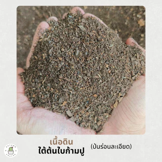 🍂🍂 ใบก้ามปูหมัก ดินใบก้ามปู ร่อนละเอียด ร่อนหยาบ ใบ ธาตุอาหารไนโตรเจนสูง ขนาด 1กิโลกรัม 🍂🍂