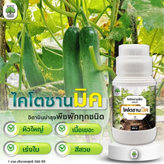 (1ขวด) ไคโตซานมิค ไคโตซานพืช สูตรพืช เสริมภูมิต้านทาน โรคพืช เชื้อรา ไวรัส แบคทีเรีย สูตรพืช 500 ซีซี
