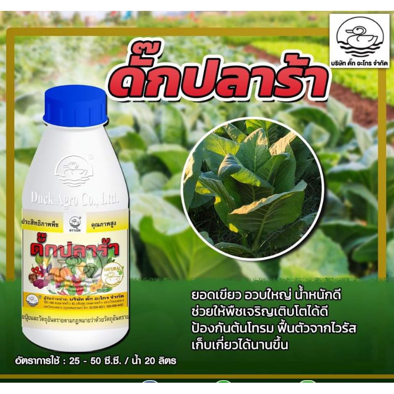 ดั๊ก ปลาร้า ปุ๋ยน้ำทางใบ ช่วยเร่งการเจริญเติบโตพืช ใบเขียวเข้ม