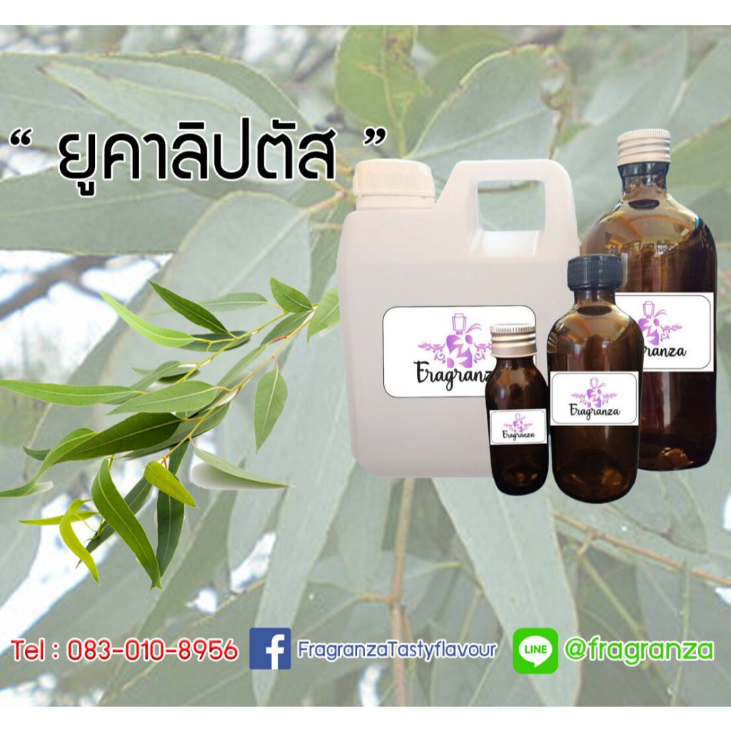 น้ำมันยูคาลิปตัส 100 กรัม , 400 กรัม , 1Kg