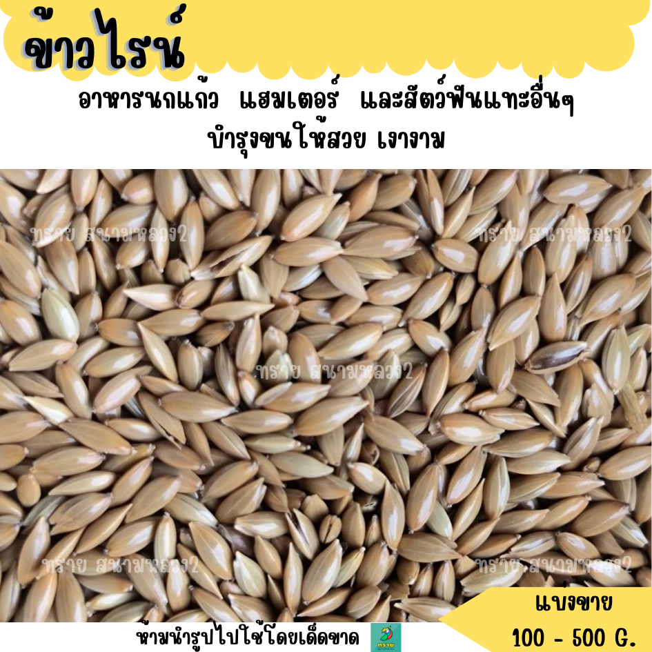 ข้าวไรน์ (แบ่งขาย 200-500G.) อาหารนกแก้ว  แฮมเตอร์  และสัตว์ฟันแทะอื่นๆ