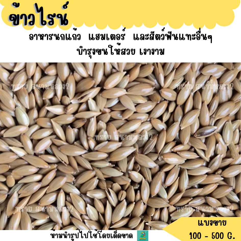 ข้าวไรน์ (แบ่งขาย 200-500G.) อาหารนกแก้ว แฮมเตอร์ และสัตว์ฟันแทะอื่นๆ