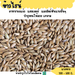 ข้าวไรน์ (แบ่งขาย 200-500G.) อาหารนกแก้ว แฮมเตอร์ และสัตว์ฟันแทะอื่นๆ