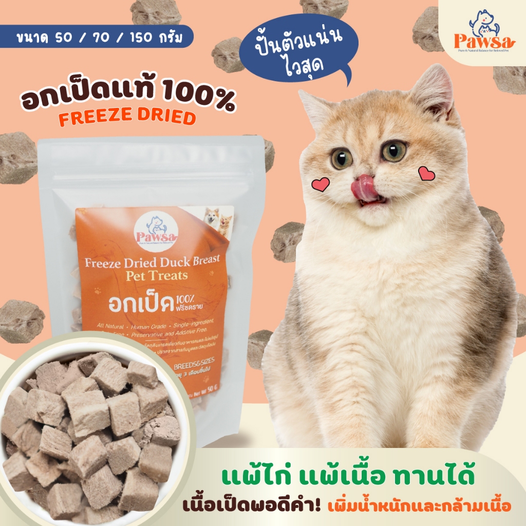 พร้อมส่ง💖ขนมแมว PAWSA อกเป็ดฟรีซดราย เป็ดอบแห้ง ฟรีซดรายแมว ขนมฟรีซดราย ขนมแมวเพื่อสุขภาพ