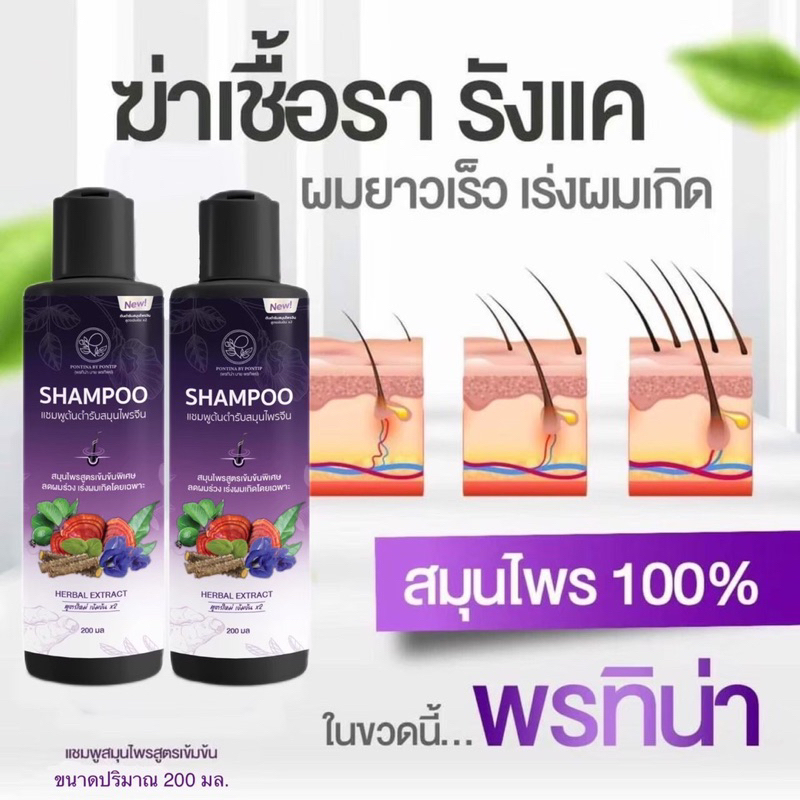 แชมพูพรทิน่าขวดใหม่200mlชุด2ขวดแถมฟรีสเปรย์ปลูกผมสูตรบอระเพ็ด(แชมพู2ขวด+สเปรย์1ขวด)