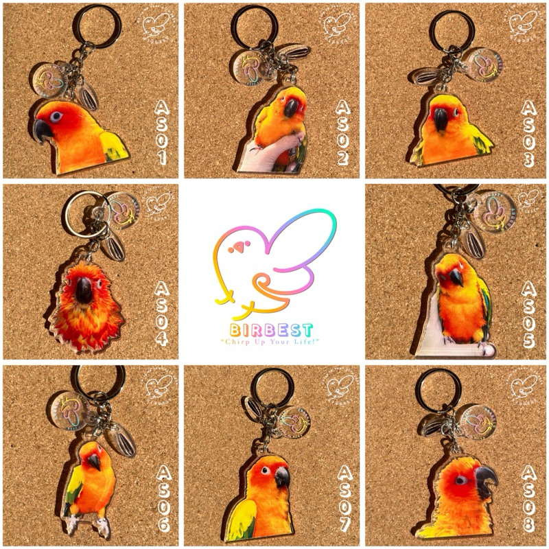 BIRBEST พวงกุญแจอะคริลิคนกแก้วซันคอนัวร์ Set 1