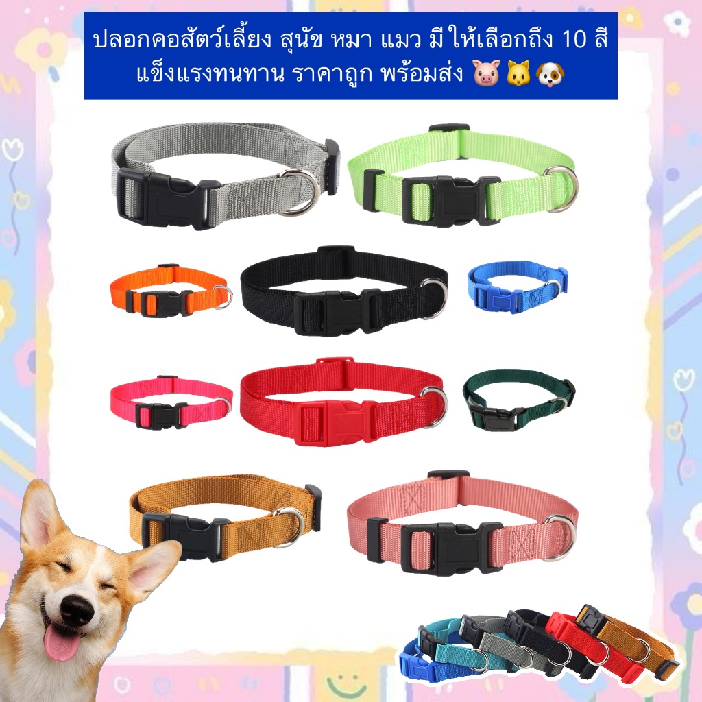 BN-1179 ปลอกคอสัตว์เลี้ยง สุนัข 🐶 หมา แมว 🐱 สีสันสดใส เลือกได้ถึง 10 สี แข็งแรงทนทาน ราคาถูก พร้อมส่ง! 🎉  ✨