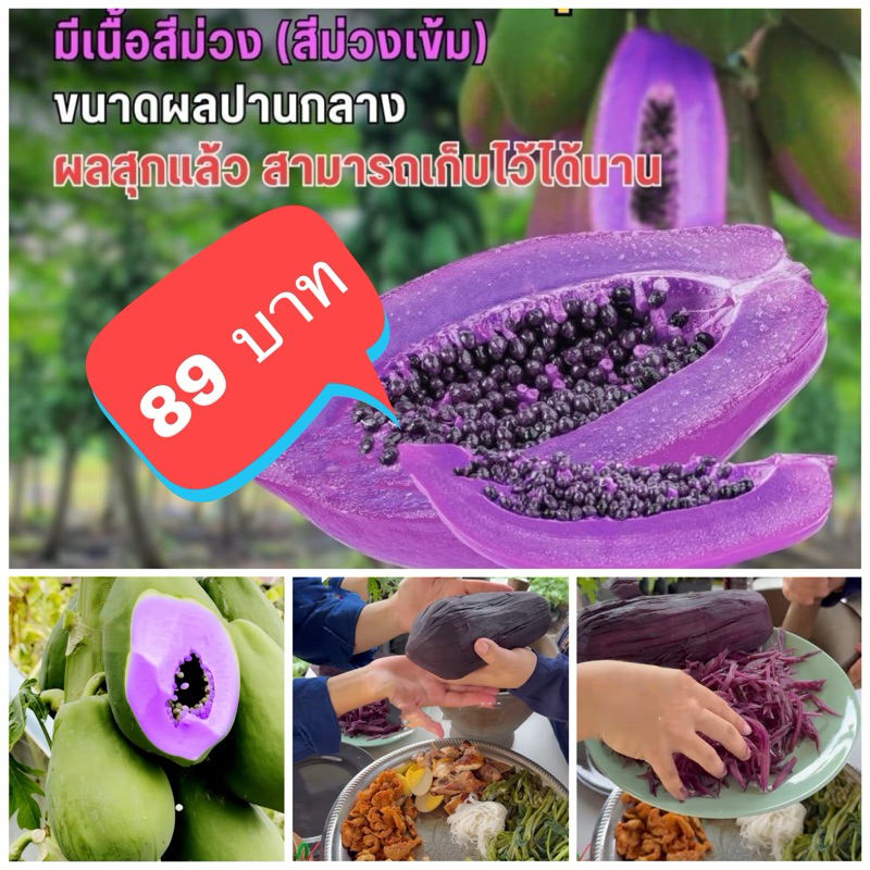 เมล็ดพันธุ์มะละกอสีม่วง