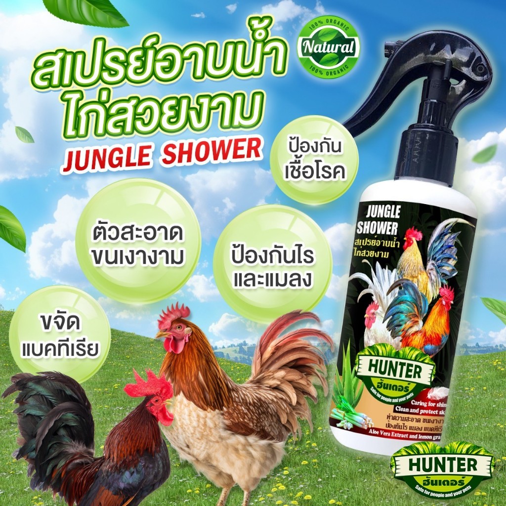 สเปรย์อาบน้ำไก่ ดับกลิ่นตัว ป้องกันไรไก่ ขจัดแบคทีเรีย ดูแลขนให้เงางาม ให้ไก่สดชื่นร่าเริง 250 ml