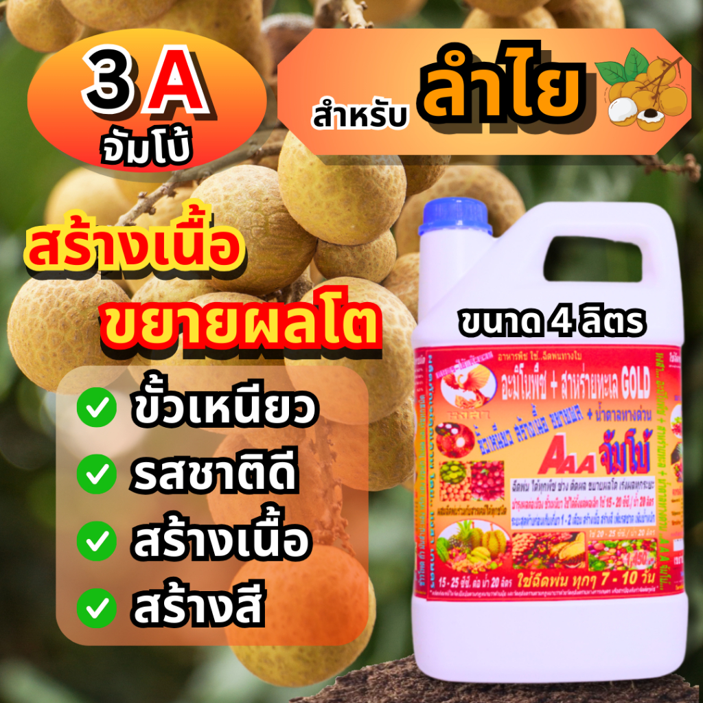 3A “จัมโบ้” ฉีดพ่นทางใบ สำหรับ “ลำไย” ลดการใช้ปุ๋ยเคมี พืชสมบูรณ์ ก้านช่อยาว โตไว ผลอวบ น้ำหนักดี