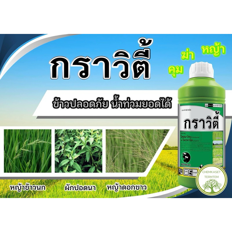 กราวิตี้ 1 ลิตร(โคลมาโซน โพรพานิล) คุม -ฆ่า 7-14 หลังหวานข้าว สารกำจัดวัชพืช เคมแฟค 1000 มิลลิลิตร