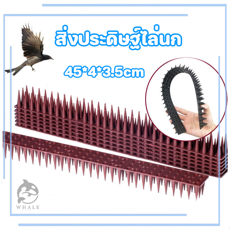 ที่กันนก หนามไล่นกพิราบ หนามกันนก หนามนก อุปกรณ์ไล่นก ไล่แมว หนามกันนกเกาะ bird thorn
