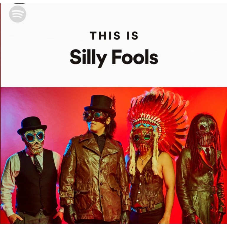 This Is Silly Fools (แผ่น CD , USB แฟลชไดร์ฟเพลง)