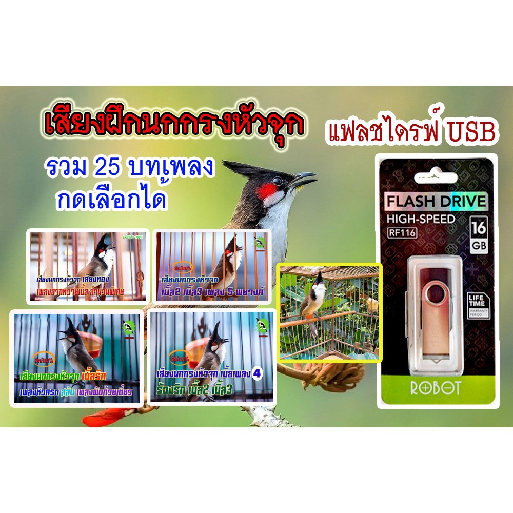 แฟลชไดร์ฟเสียงฝึกนกกรงหัวจุก สำนวนพิเศษเพลงลากหวายขั้นเทพ มีให้เลือก 25 บทเพลง