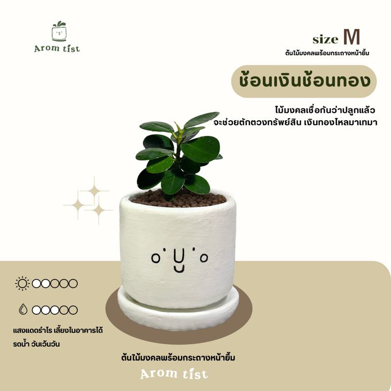 ต้นไม้มงคล พร้อมกระถางลายหน้ายิ้มไซส์M☺️🪴💗✨ตั้งโต๊ะทำงานฟอกอากาศ รูปที่ 3