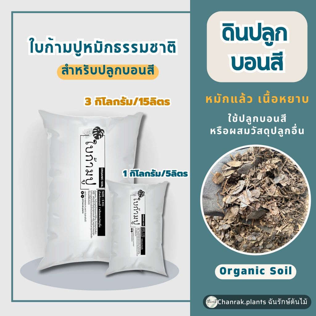 ใบก้ามปูหมัก 100% ดินปลูกบอนสี หรือใช้ผสมวัสดุปลูก