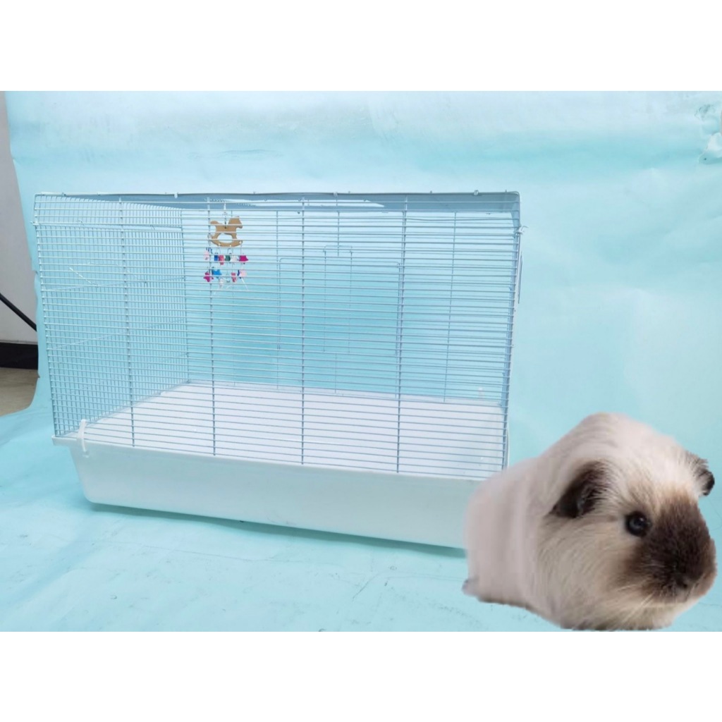 กรงหนู 80 CM ถาดสูง 15 CM กรงดอร์เมาส์ กรงสัตว์เลี้ยง หนูตะเภา แฮมสเตอร์ แกสบี้ ขนาด 80*46*57cm เปิด