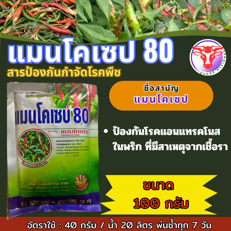 แมนโคเซบ80 ขนาด 100 กรัม สารป้องกันและกำจัดโรคใบจุด ใบจุดสนิม โรคราคาสนิม โรคกุ้งแห้ง โรคกาบใบเน่า