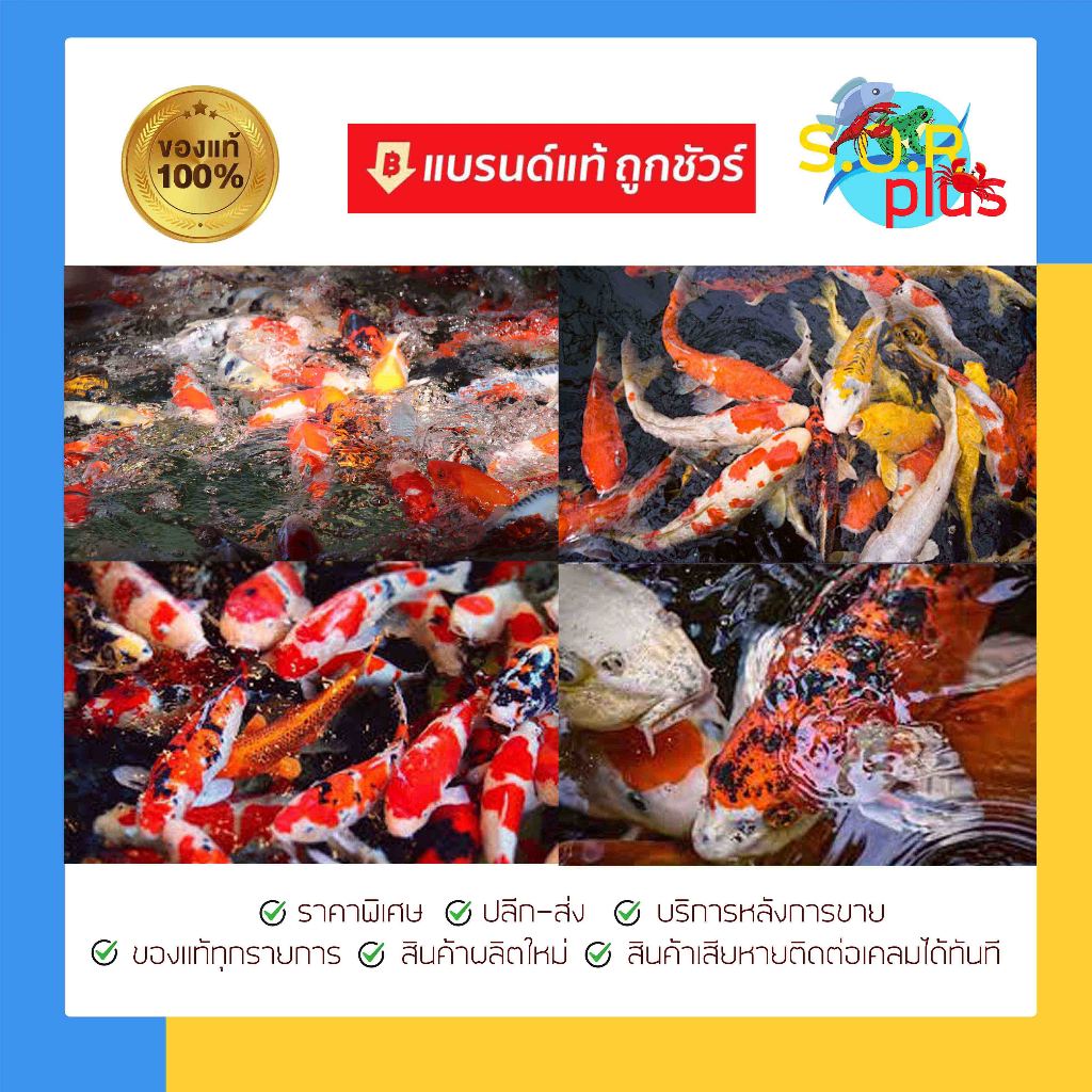 k ปร-สิต แก้ ปัญ หา พยา-ธิ  ภายนอก ทั้งหมด ครอบคลุม เห็นผล สำหรับปลาสวยงาม อุปกรณ์เสริมในการเลี้ยงปลาสวยงาม - รูปที่ 2